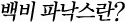 백비 파낙스란?